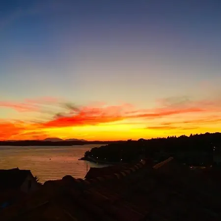 Sime's Down Town Konukevi *