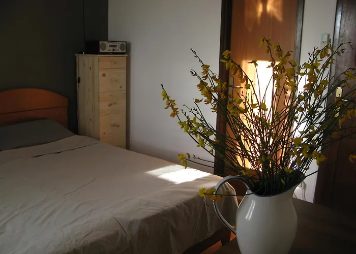 Sime's Down Town Pensión *